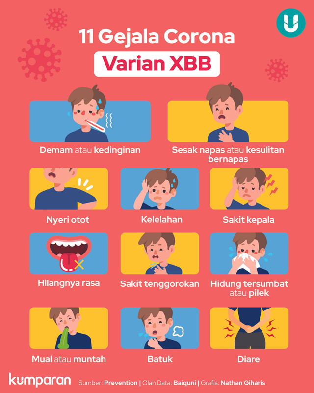Infografik Gejala Corona Varian XBB Foto: kumparan