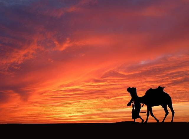 Ilustrasi Dihyah al-Kalbi, sahabat nabi yang wajiahnya ditiru Malaikat Jibril. Foto: pixabay.com/rauschenberger-4614580/