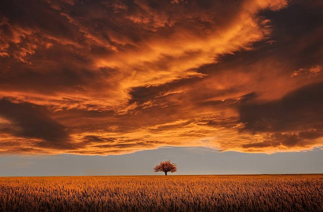 Kata-Kata tentang Senja untuk Tenangkan Jiwa, Foto Pixabay/Bessi