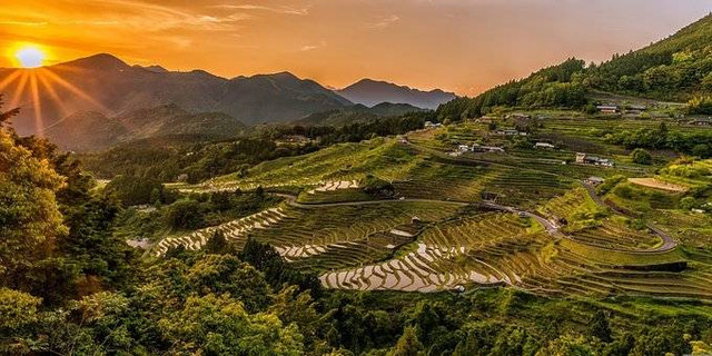 Foto terasering sawah, sumber utama : Pixabay.com