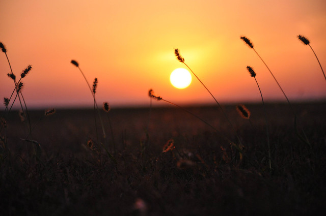  Kata-kata Senja Buat Story , Foto/Unsplash/June O