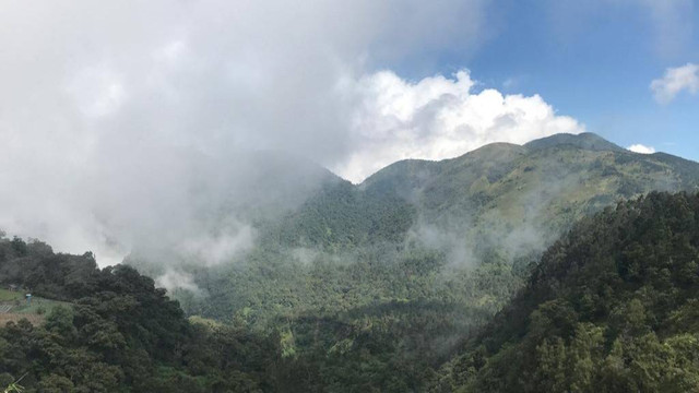 Gunung Lawu yang berada di perbatasan Jawa Tengah dan Jawa Timur. FOTO: Fernando Fitusia