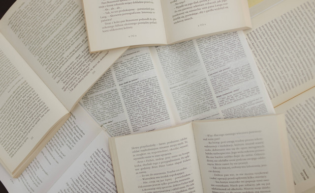 Ilustrasi Sejarah Menurut Sartono Kartodirdjo. Foto: dok. Dominika Roseclay (Pexels.com)