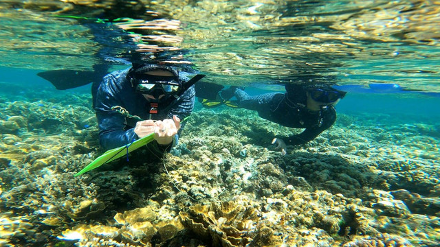 Kegiatan Survei Penyusunan IG Tematik Neraca Spasial Sumber Daya Alam Pesisir dan Laut oleh Badan Informasi Geospasial (11-21 Oktober 2022, TWP Kepulauan Raja Ampat dan Kepulauan Waigeo Sebelah Barat). Sumber: Dokumentasi Tim Survei BIG.
