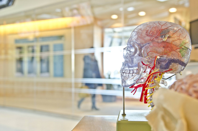 Ilustrasi meningitis adalah peradangan yang terjadi pada lapisan yang membungkus otak dan saraf tulang belakang. Foto: Unsplash