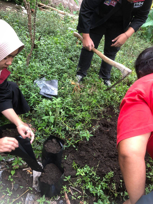 Proses pengisian tanah di polybag, Sumber : Dokumen Pribadi