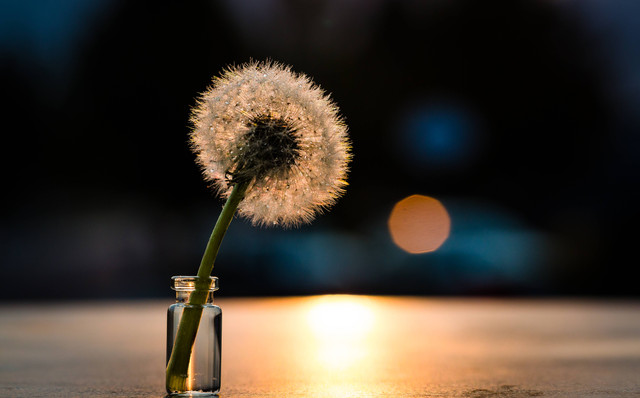 Ilustrasi Ucapan Selamat Hari Minggu Terbaru, Foto: Unsplash/Denise Johnson
