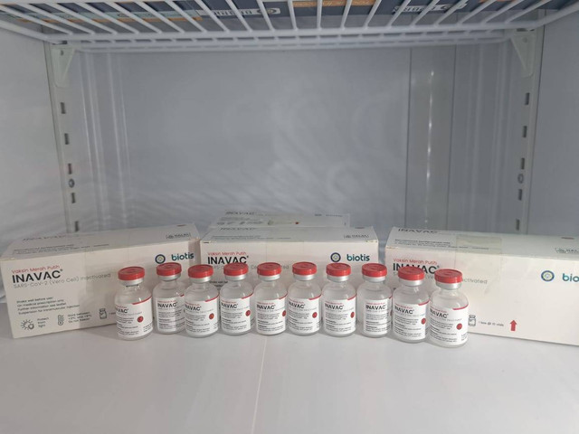 Vaksin Merah Putih Inavac Unair. Foto: Amanah Nur Asiah/Basra