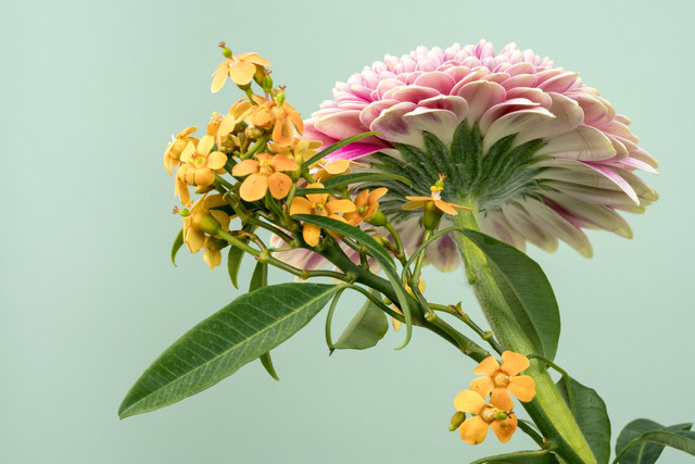  Ilustrasi Puisi Perjalanan Hidup. Foto: Unsplash/Maarten Deckers.