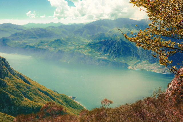 Ilustrasi Kata-kata Semangat Untuk Idola. Foto: Unsplash/Cristina Gottardi.