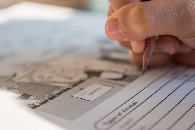 Ilustrasi Kunci Jawaban Tema 4 Kelas 3 Halaman 40 Lengkap (Foto: Jessica Lewis | Unsplash.com)