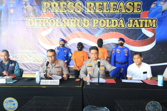 Ditpolairud Polda Jawa Timur Menangkap 2 Pelaku Sindikat Penjualan Satwa Dilindungi di Perairan Alur Pelayaran Barat Surabaya, Kamis (10/11/2022). Foto: Farusma Okta Verdian/kumparan