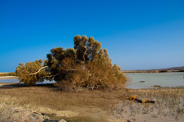 Ilustrasi Puisi tentang Bencana Alam sebagai Pengingat. Foto: Unsplash/naif tharwat.