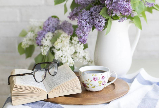 Ilustrasi Caption tentang Buku yang Menarik. Foto: Pixabay/Sophkins.