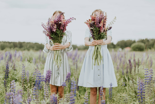 Kata-kata Buat Sahabat Terbaik yang Bikin Semangat, foto: Unsplash/Daiga Ellaby