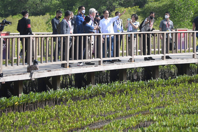 Presiden Joko Widodo (tengah) bersama sejumlah wartawan dalam negeri dan luar negeri mengunjungi tenda penyemaian pohon mangrove dalam rangkaian kegiatan KTT G20 di Taman Hutan Raya (Tahura) Ngurah Rai, Denpasar, Bali, Rabu (16/11/2022). Foto: Galih Pradipta/Antara Foto