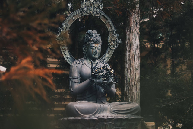 Ilustrasi Kata Bijak Buddha tentang Kedamaian. Foto: Unsplash/Manuel Cosentino.