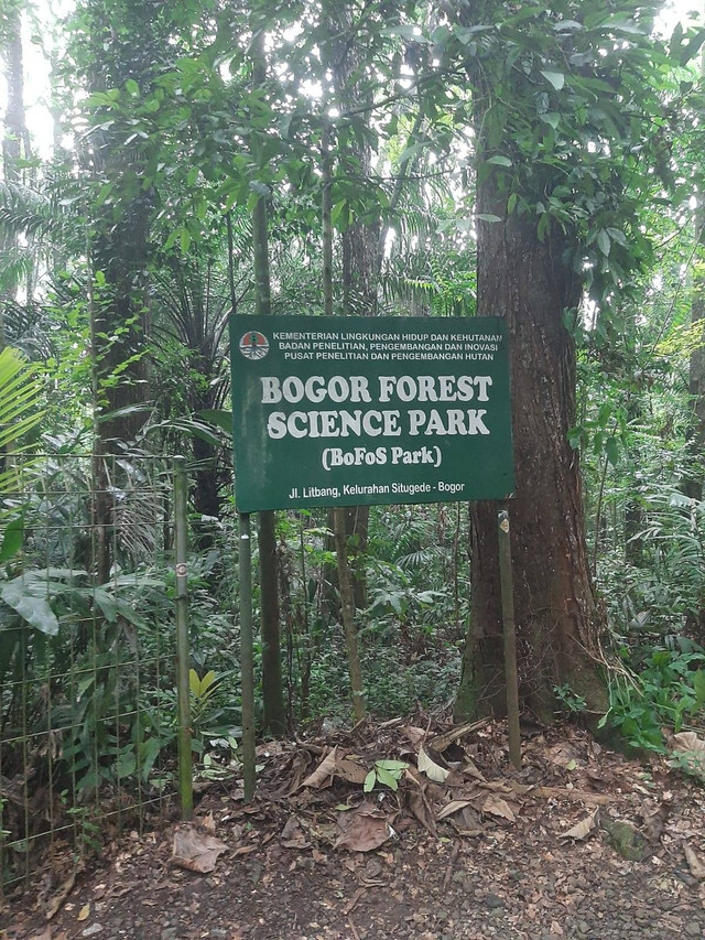 Sumber : Dokumentasi Pribadi