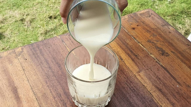 Ilustrasi susu. Foto: Tugu Jogja