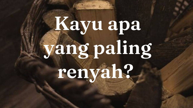 Tebak-tebakan kayu apa yang paling renyah? Foto: Unsplash
