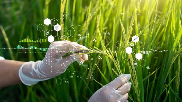 Contoh Soal Biologi Kelas 10 Semester 1, Foto: Unsplash.