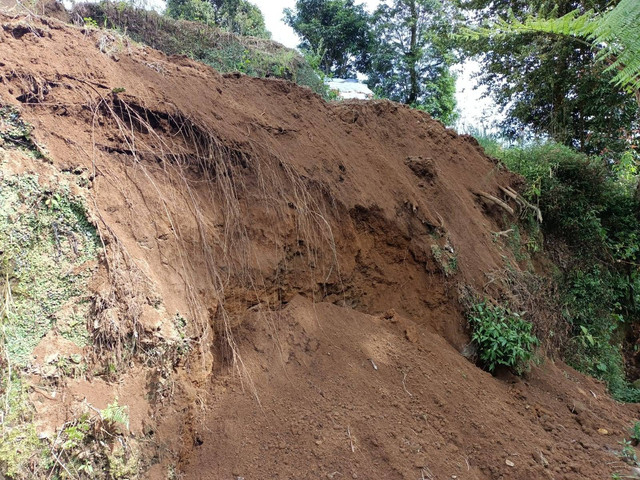 Lokasi longsoran di Blok Tanah Merah, jalur wisata pendakian Gunung Putri, Foto: Harley Sastha.