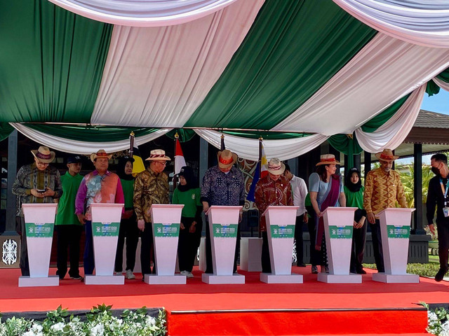 Penanaman pohon mangrove secara virtual melalui aplikasi SiPohon. Foto: Teri/Hi!Pontianak