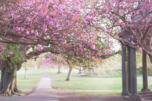  Ucapan Get Well Soon untuk Pacar, Foto/Unsplash/Sherry Wright