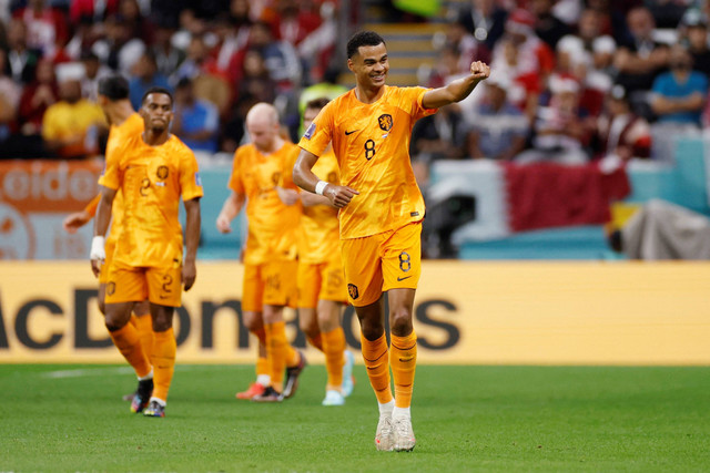 Selebrasi pemain Timnas Belanda Cody Gakpo usai mencetak gol ke gawang Timnas Qatar pada pertandingan Grup A Piala Dunia 2022 Qatar di Stadion Al Bayt, Al Khor, Qatar. Foto: John Sibley/REUTERS