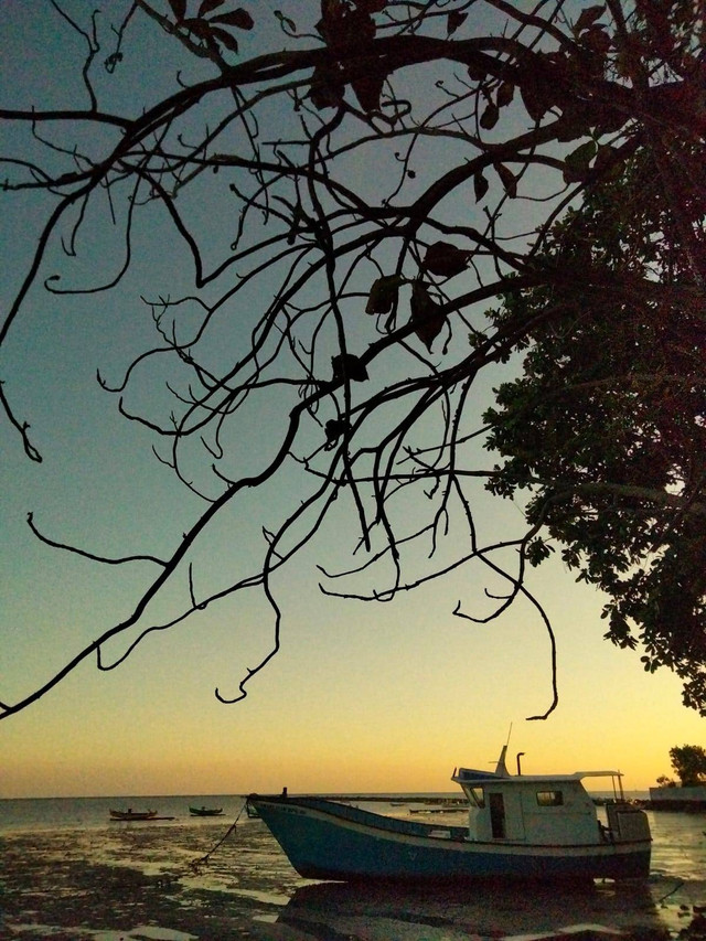 Sumber : Ade Nia Regita (Pulau Bawean)