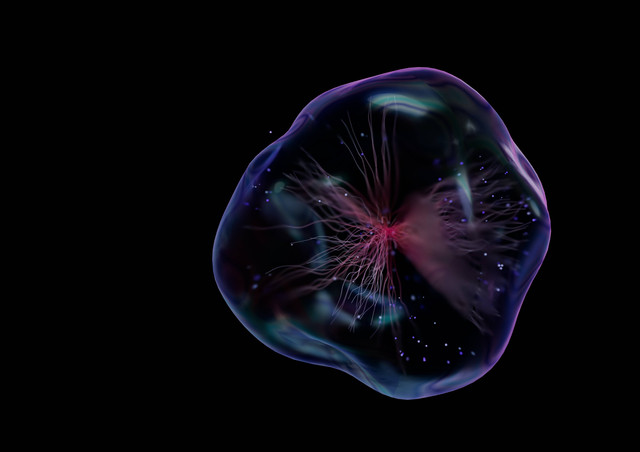 Ilustrasi Mengapa pembelahan meiosis disebut dengan pembelahan reduksi, sumber foto (Eyestetix Studio) by unsplash.com