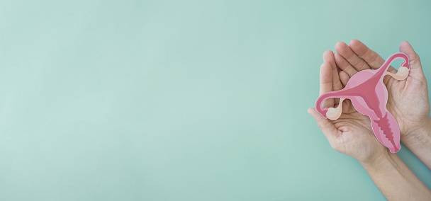 Jelaskan Bagian-Bagian Uterus!, Sumber www.unsplash.com