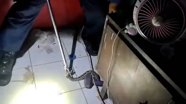 Petugas Damkar menangkap seekor ular di rumah warga di Cakung, Jakarta Timur, Sabtu (3/12/2022). Foto: Twitter/@humasjakfire
