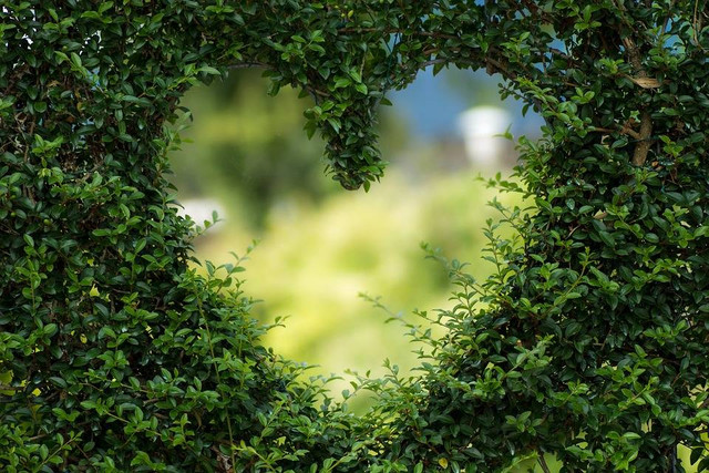  Puisi Generasi Milenial tentang Cinta, Foto Pixabay/2023852