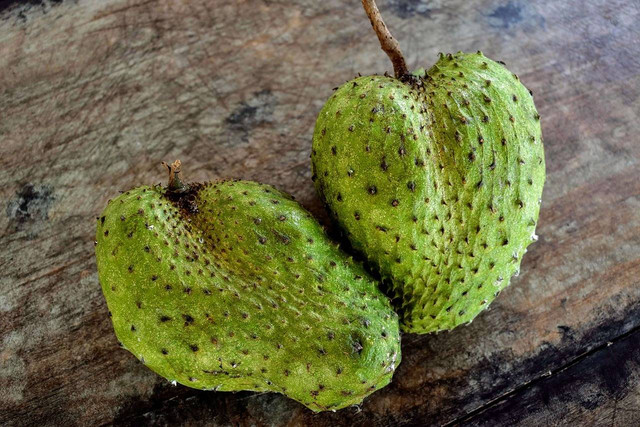 Apa saja manfaat buah sirsak untuk ibu hamil? Foto: Unsplash
