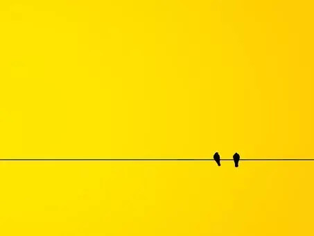 Ilustrasi warna kuning. Foto: Pexels