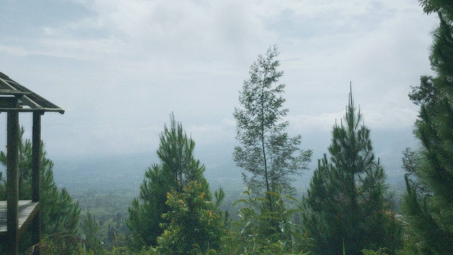 Pemandangan Sedadap (Dokumentasi Pribadi)