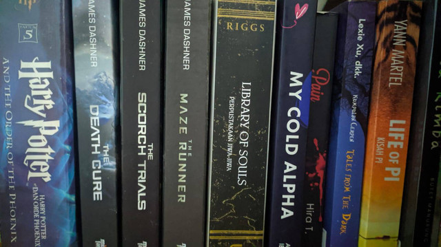 Koleksi buku menghadirkan kepuasan tersendiri bagi para pembacanya. (Sumber Dokumen pribadi)
