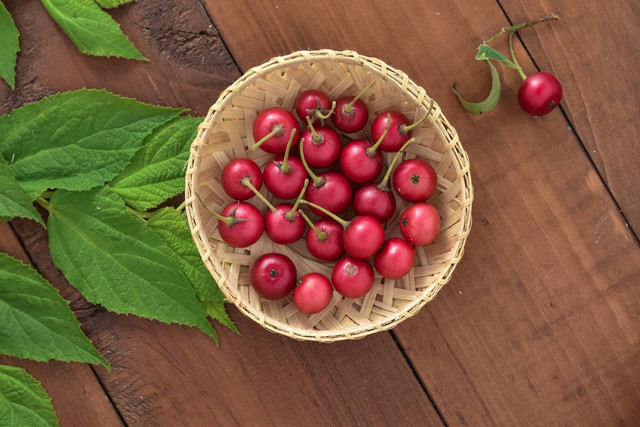 Ilustrasi buah unik di Indonesia. Foto: ZahyMaulana/Shutterstock