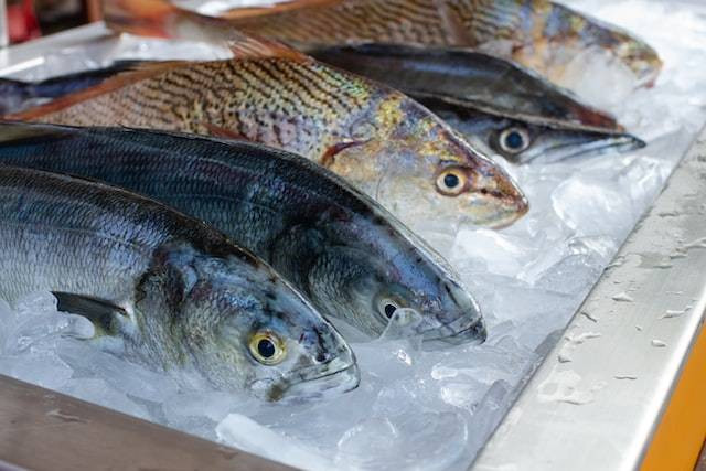 Ilustrasi 4 ciri ikan segar, sumber foto Jakub Kapusnak on Unsplash