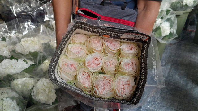 Seorang petugas memperlihatkan bunga mawar putih di pernikahan Kaesang Erina. Foto: Widi Erha Pradana