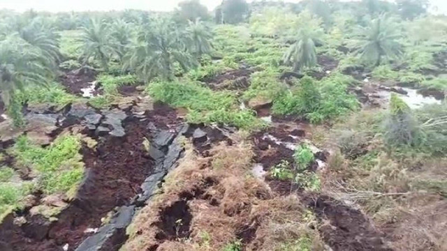 Lahan warga Kabupaten Bengkalis, Riau, yang amblas. (ANDRIAS/SELASAR RIAU)