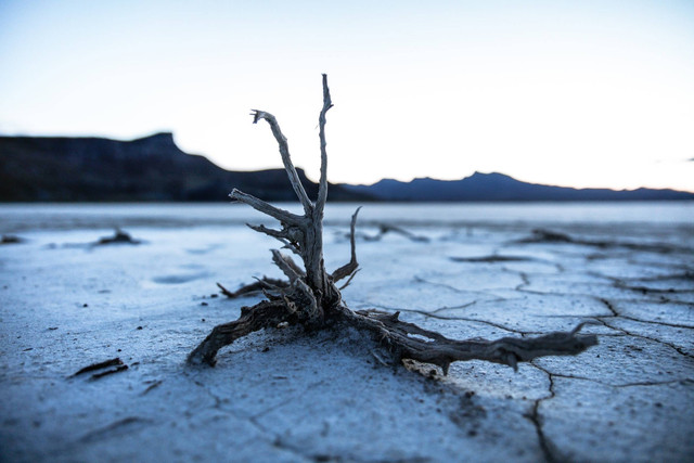 Ilustrasi Yaumul Fashl adalah Hari (Foto: Patrick Hendry | Unsplash.com)
