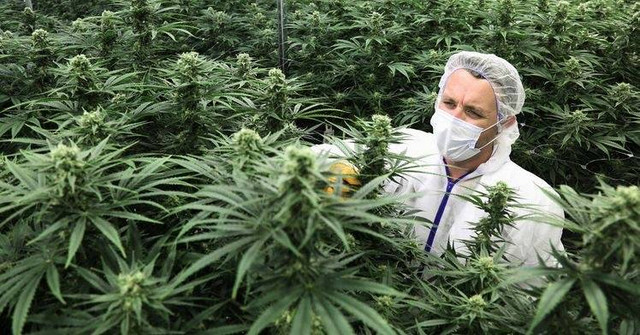 Sumber : shutterstock