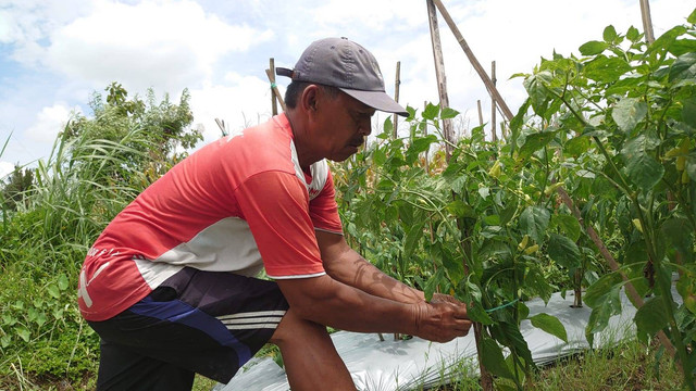 Suyudi, petani asal Caturharjo yang menerima manfaat dari dana keistimewaan. Foto: Widi RH Pradana