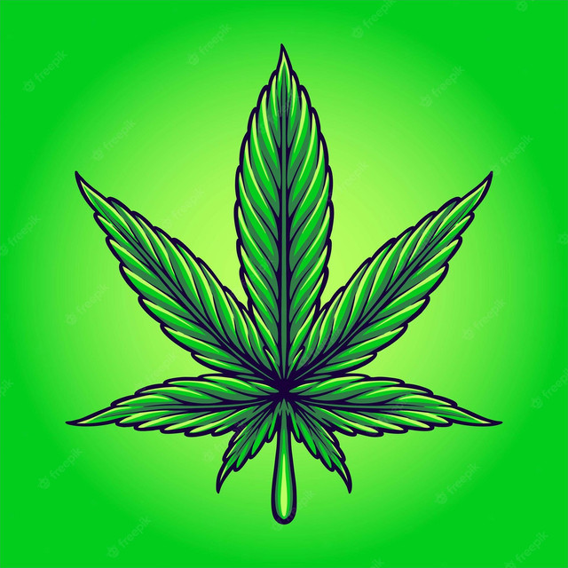 Cannabis Sativa atau Ganja