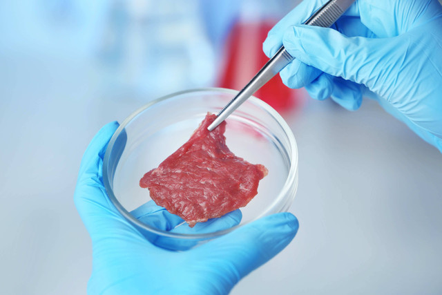 Ilustrasi daging buatan laboratorium. Foto: Africa Studio/Shutterstock