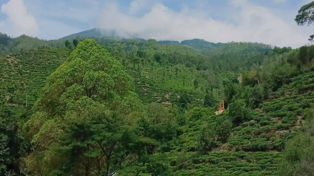 Dokumen Pribadi