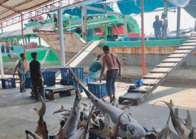 Nelayan di Indramayu Jawa Barat.(Juan)