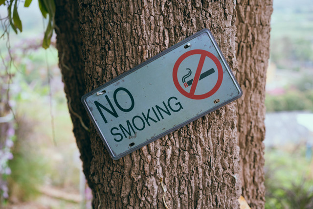 Gambar Dilarang Merokok, Foto: Pexels